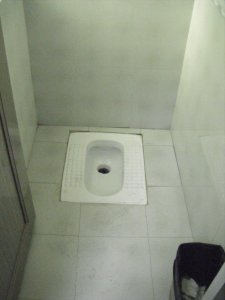 My first look at a squatter up close. The horror.