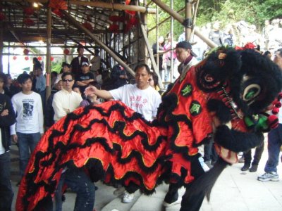 Three different Chinese dragons performed during the festival.