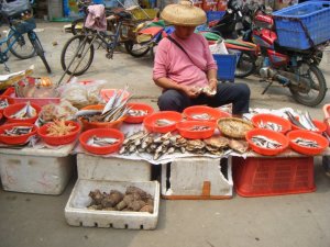Live fish, live eels or live squid for lunch? All of the above please.