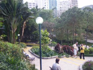 A little slice of green space in an otherwise totally urban city.