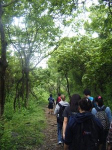 Over the river and through the woods on Tung Ping Chau we go...