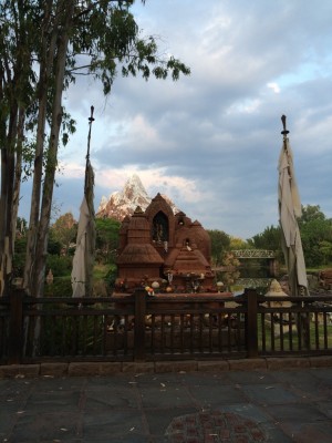 The newest roller coaster at Disney's Animal Kingdom: Expedition Everest.