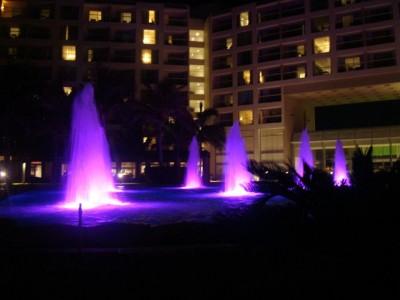 A picture of the hotel fountains at night. So pretty and the colors changed over time.