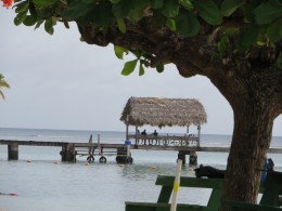 Here's the pier off of Pigeon Point. So picturesque.