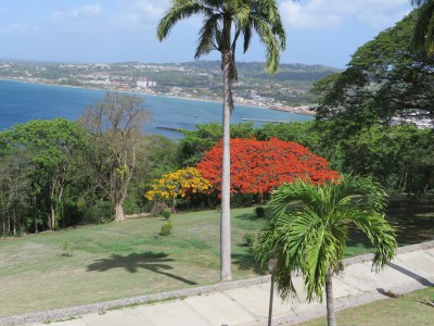 Way down in the distance you can see the the port where we arrived by ferry in Tobago. Great view.