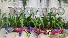 Welcome to Xoximilco.