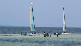 These people were out in the middle of the ocean, but the water was still only waist deep and crystal clear.