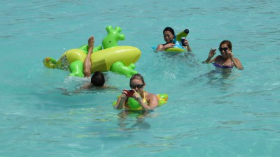 That's Gary the Gecko there, upside down.