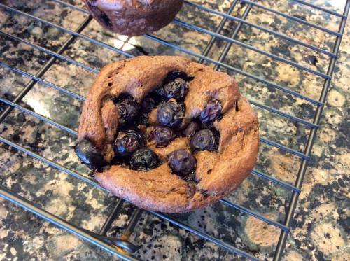 high protein chocolate blueberry muffin