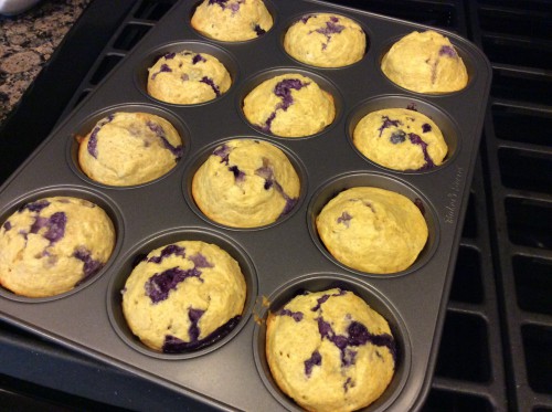 high protein blueberry muffins in tin