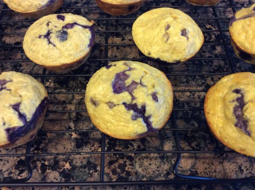 high protein blueberry muffins on cooling rack